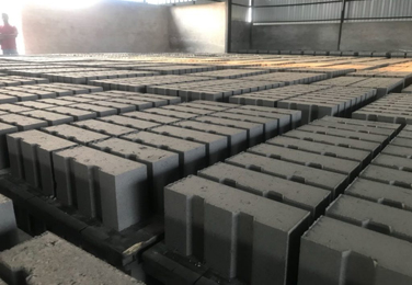 Fly Ash Bricks